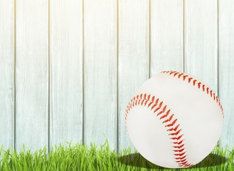 Baseball.