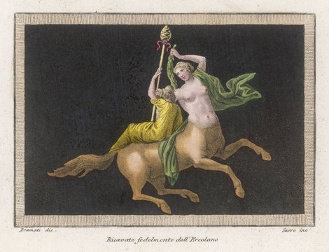 Female Centaur - Thyrsus