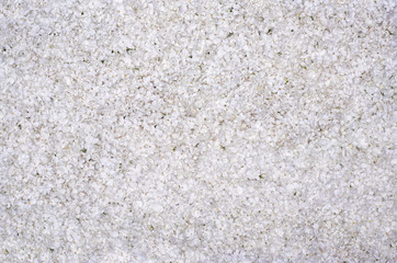 white flower petals background texture