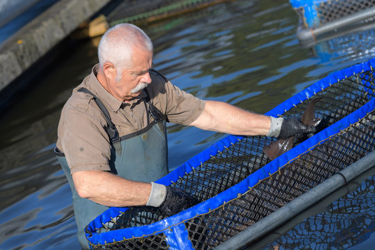 senior man working at a farm of floating basket