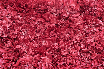 red flower petals texture background