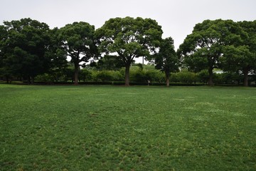 公園の風景/神奈川県平塚総合公園