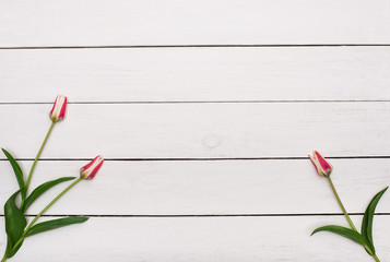 Pink tulips flowers on wooden table. Top view, copy space.