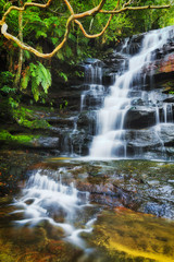 Obraz premium WF Somersby Branch Vert