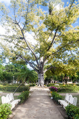 Casino Campestre in Camaguey, the largest urban park in Cuba.