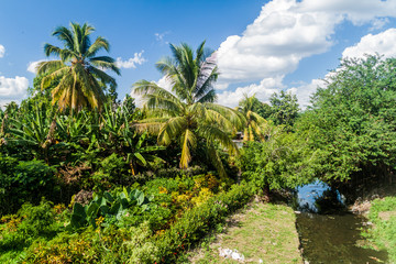 Fototapeta na wymiar Small creek in Las Tunas, Cuba
