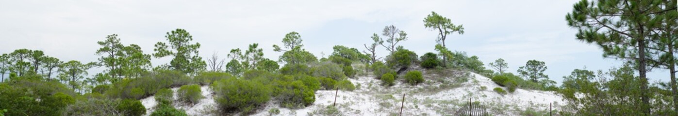 Old Florida panorama