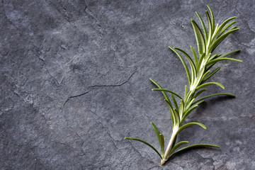 Rosemary on Slate Top View