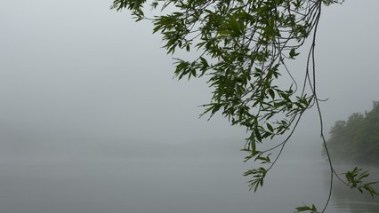 森の中の湖　北海道ポロト湖