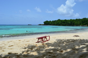 Jamaica Winnifred Beach bobsled