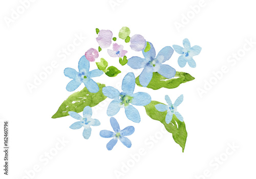 花 水彩 イラスト Free Illustration Material 花 水彩 イラスト Free Illustration Material