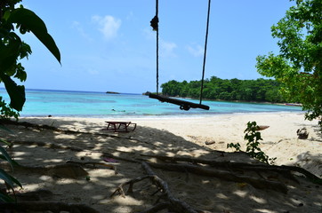 Jamaica Winnifred Beach bobsled