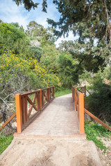  Cyprus. Cape Greco National Forest Park. Wooden bridge