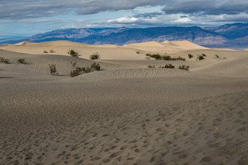Fototapeta na wymiar Mesquite Flat Sand Dunes, Death Valley National Park