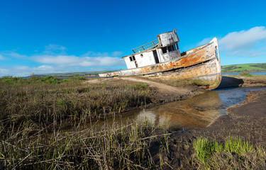 Naklejka premium Shipwreck at Point Reyes California