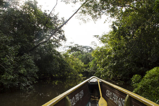 Canoe In The El Coca River To Yasuni Protected Forest