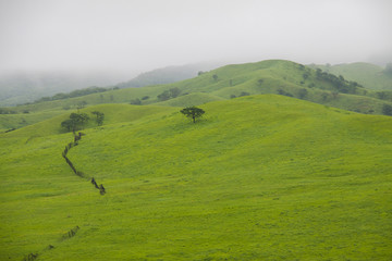 Green hills.