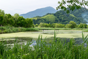 釣り人のいる夏の遊水地　静岡市麻機遊水地