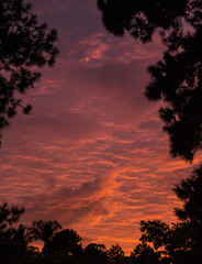 Photo of beautiful cloudy sunrise