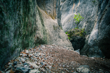 Obraz premium large rock in the mountains