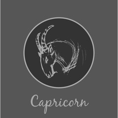 Capricorn Astrological zodiac symbol. Horoscope sign.