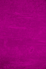 Obraz premium Vintage background