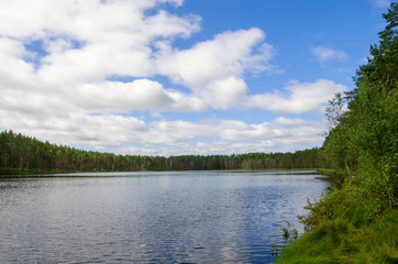 Naklejka na ściany i meble Summer landscape of Karelia