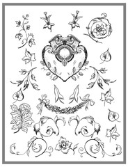 Drawn design elements. Can be used for decorating of invitations, packaging, web design.