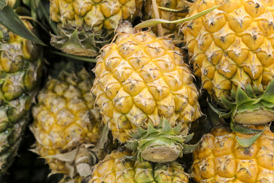 Close up pineapples on shop's display. picture can used banner background or copy space for add text message. Food & drink concept.
