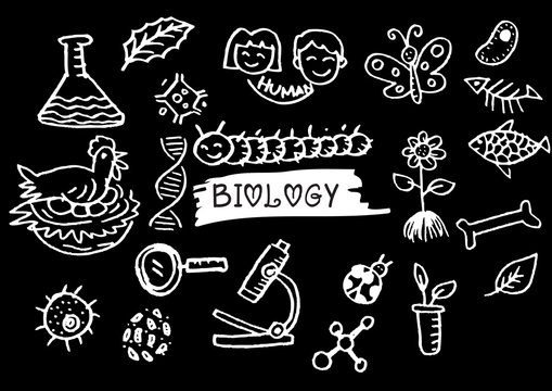 . Hand sketches on the theme of biology.