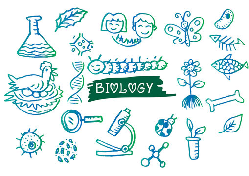 . Hand sketches on the theme of biology.