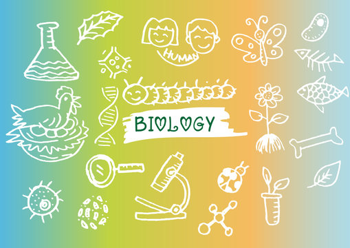 . Hand sketches on the theme of biology.