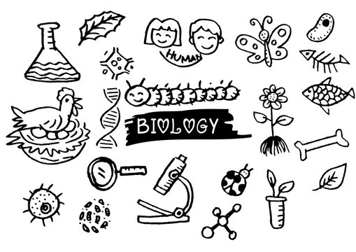 . Hand sketches on the theme of biology.