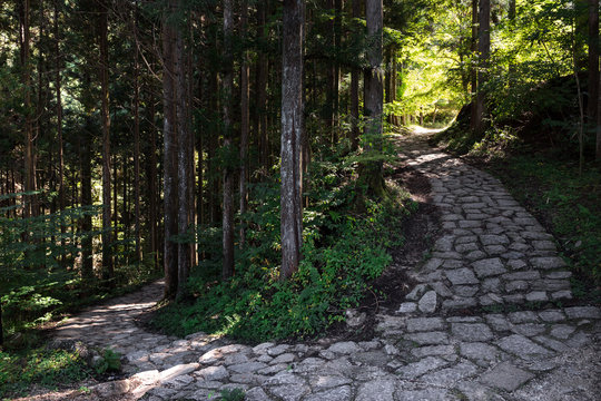Nature trail antient pilgrimage route from village Magome to Tsumago in the Japanese forest