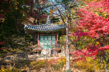 Fototapeta premium Autumn season in South Korea