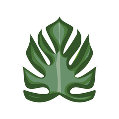 isolated plant leaves icon vector illustration graphic design