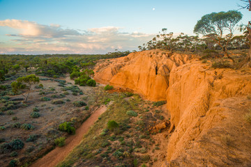 Australian outback landscape at sunset. South Australian rural scenery.