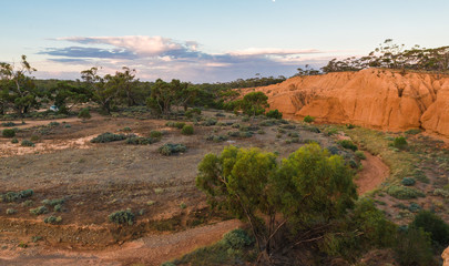 Australian outback landscape at sunset. South Australian rural scenery at Red Banks Conservation Park