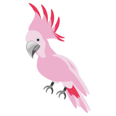 isolated cute pink bird icon vector illustration graphic design
