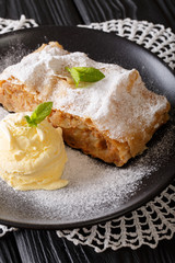 Delicious apple strudel with sugar powder, ice cream and mint closeup. vertical