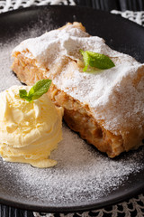 Austrian traditional apple strudel with ice cream and mint closeup. vertical