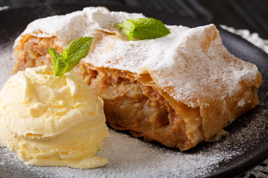 Austrian traditional apple strudel with ice cream and mint closeup. Horizontal