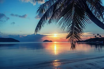 Zelfklevend Fotobehang Prachtige mooie heldere tropische zonsondergang, zon, palmen, zandstrand © olezzo