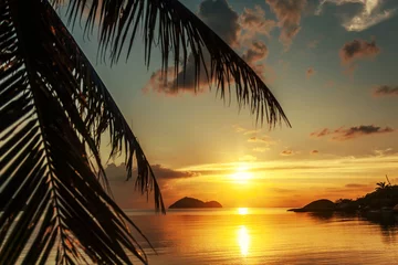 Zelfklevend Fotobehang Magnificent beautiful bright tropical sunset, sun, palms, sandy beach © olezzo