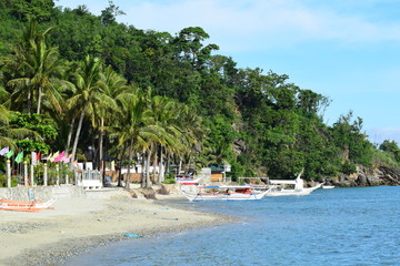 sea, coconut palms and boat