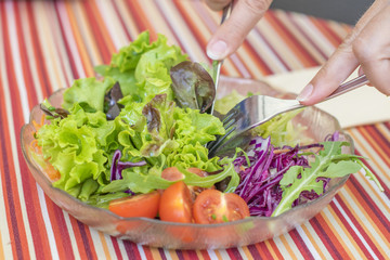 healthy salad lettuce italian