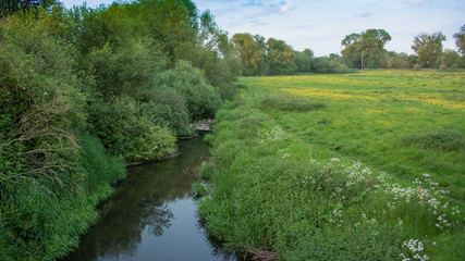 A photograph over a once much wider river showing neglect overgrown and  environmental hazard possibly causing flooding