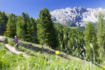 Wanderin im Rosengarten, hinten der Latemar
