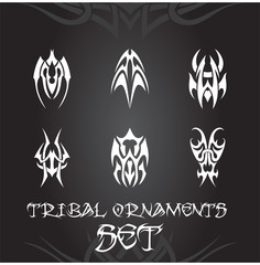 Tribal ornaments and design elements