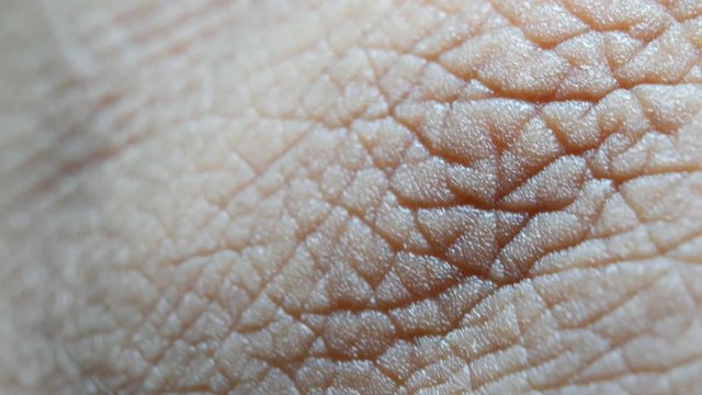 Close up of Human Skin Texture 
